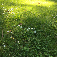 Eternal Sunshine of the spotless mind