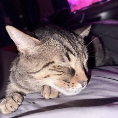 Departure (Remastered) - By Victor Cummings