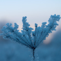Winter Shelter—Dark Immersive Ambient
