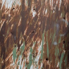 The Wind, The Birds And The Lost Door