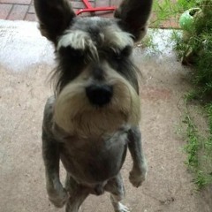 gotta move(feat. Logos, don back, VIQU:$, 김준식, hug)