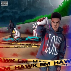 FastMoneyAnt - Hawk Em [prod. Spank on da beat]