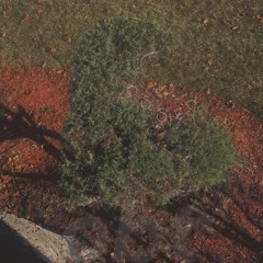 Crossed (prod. luke2pluto)