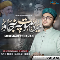 Meri Maut Pe Na Jao