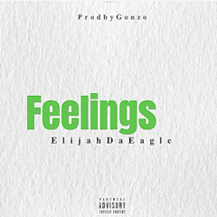 (Official Audio) Feelings - 706Birdie [ProdbyGonzo]