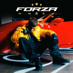 Forza Grše