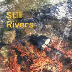 still rivers - audio group experience
