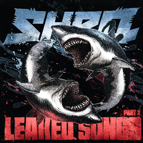 LEAKED SONGS PT2 (free download)