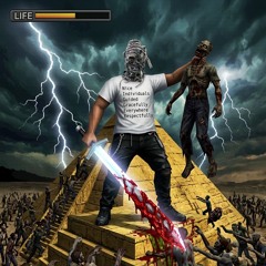 #BNSKARNAGE w/ fckkay