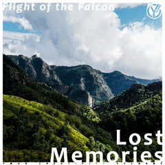 Flight of the Falcon feat. JKV Music - The Last of Us (Original Mix)