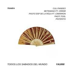 YA1000 X CRRDR - METEMANO