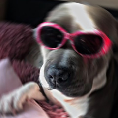 In Da Club