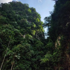 Hãy trao cho anh - MAT