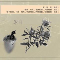 RIZOMA TAPES: RZM_003