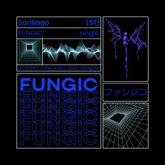 Santiago(st) - Fungic (original mix)