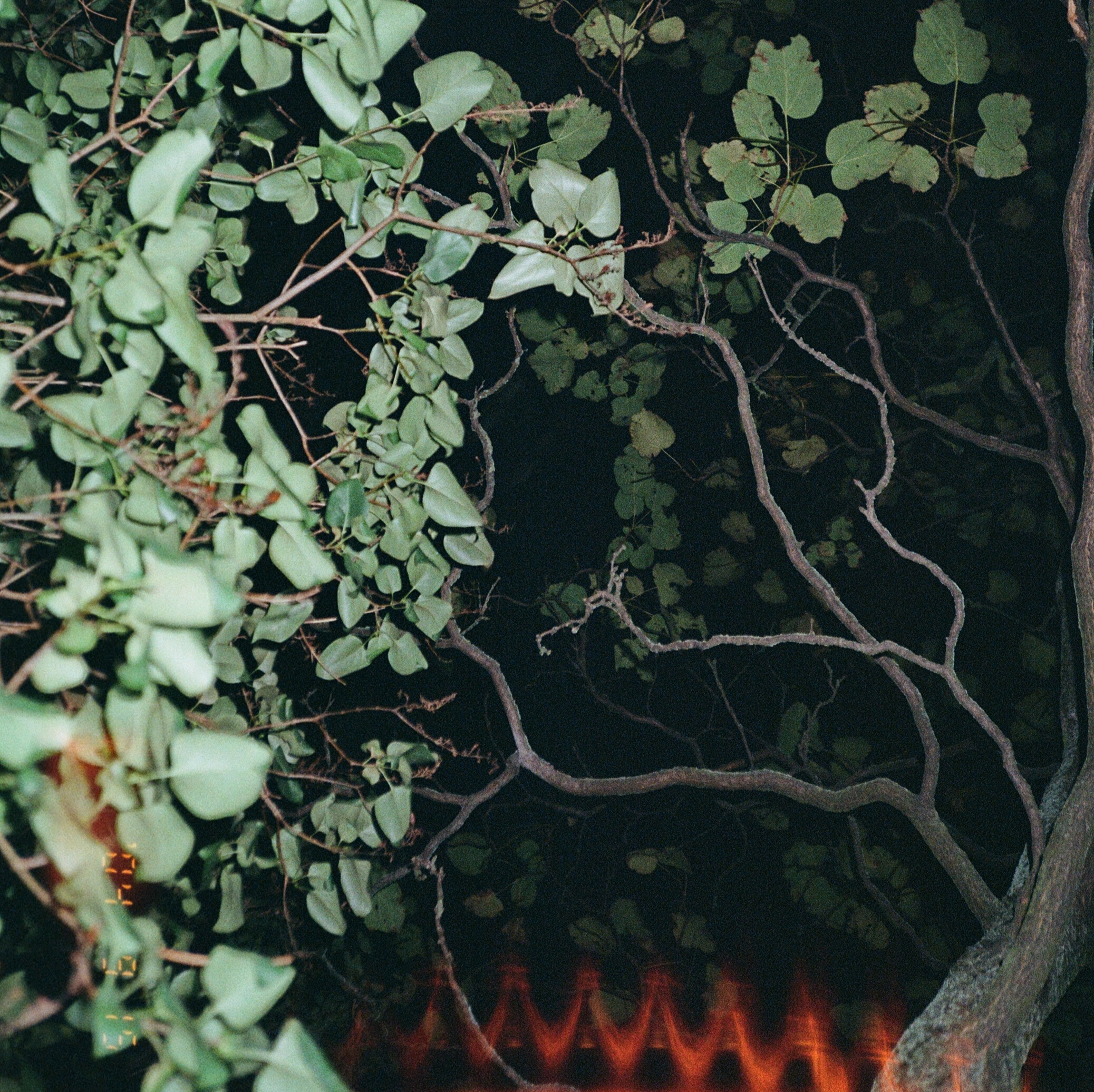 The Refractory Period #01