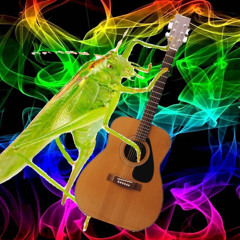 Кузнечик ТУрбо Спайс