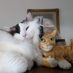 The Garden of Earthly Delights 10.1.25 w/ Andy From Midland