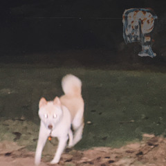 gun_game.wav