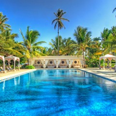 Tropical Rasta (Tropical EDM)