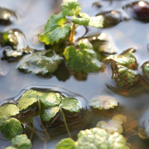 Discussions on the river. Prod by 90s beats.