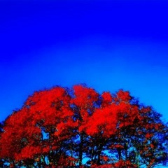 PURGATORY/PREMONITION (Original SoundCloud Version)