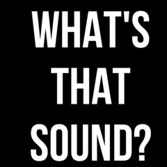 DJ Hamo - Whats That Sound (SAMPLE)