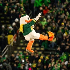 ART OF FLIGHT