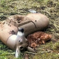 звонки и письма 2