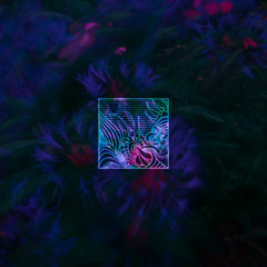 Abraço de Vapor ⁺Nocturn⁺ [LILA-AV1] Previews