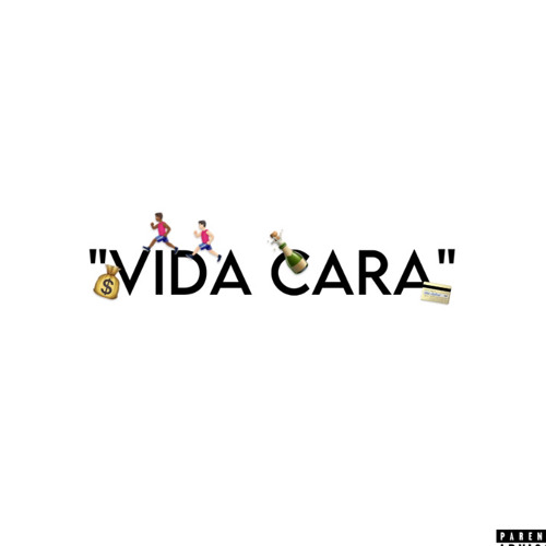 Guava - Vida Cara W/ Stokproblema