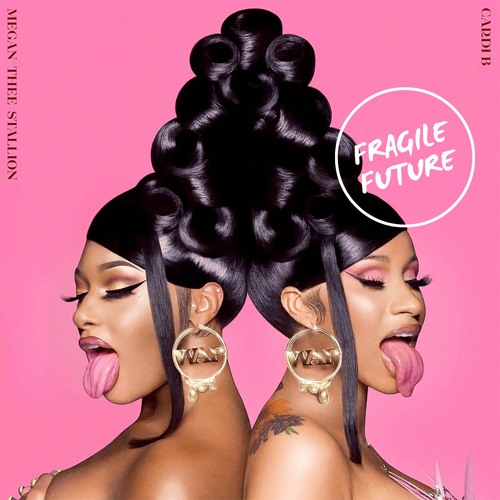 Cardi B & Megan Thee Stallion - WAP (Fragile Future vs Martin Crown Mashup)