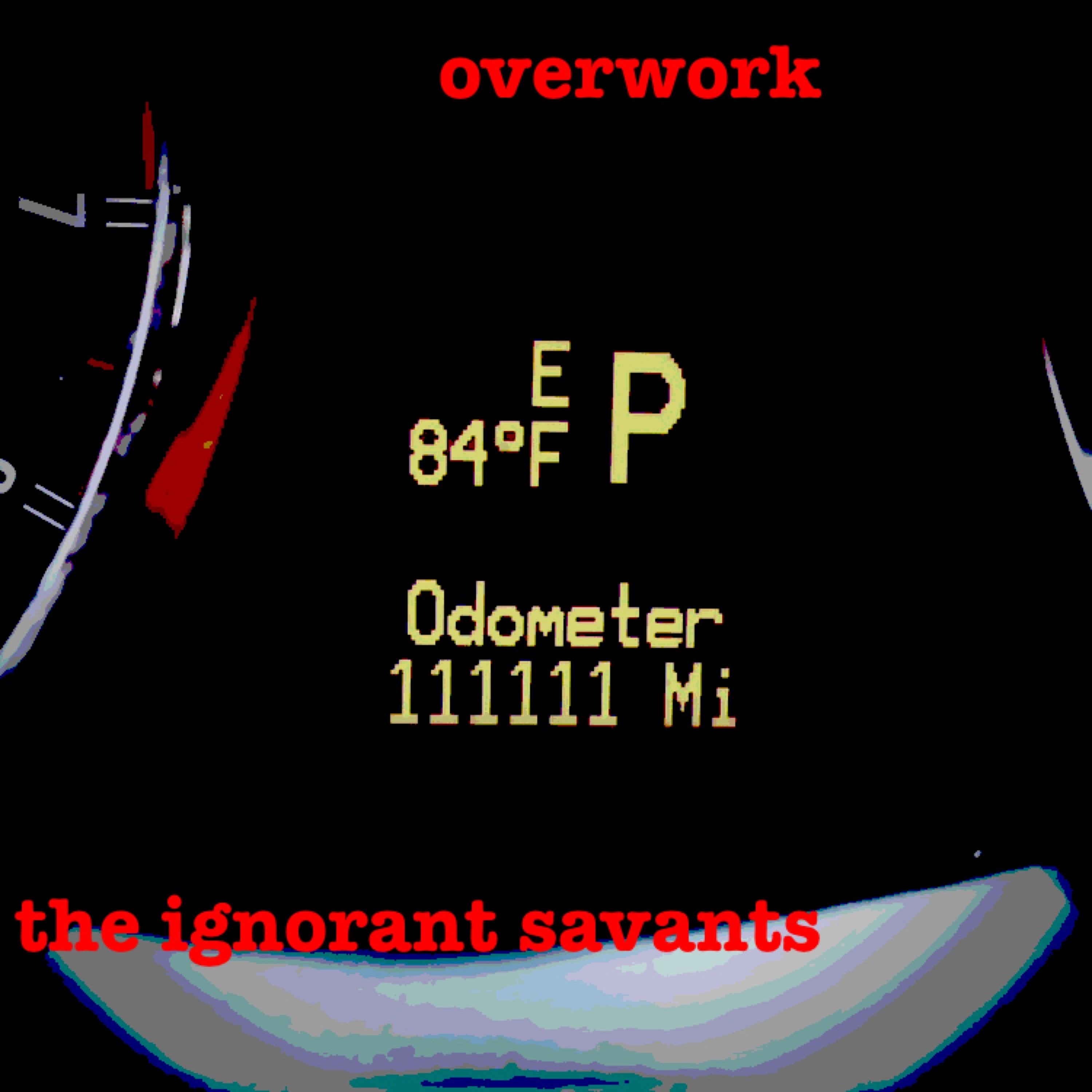 the ignorant savants