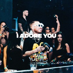 HUGEL, Topic, Arash feat. Daecolm - I Adore You [Yhork Remix]