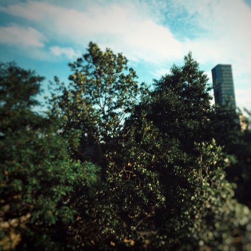 If Africa had another World Cup? (Loop Week A Maj)