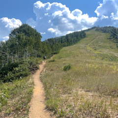 Mountain Peak Revival (Colorado)