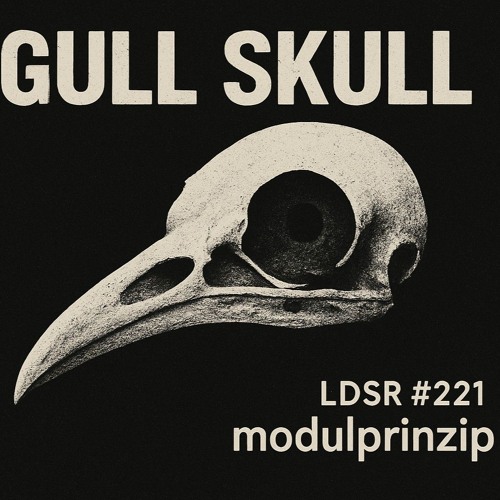 gull skull (LDSR #221)