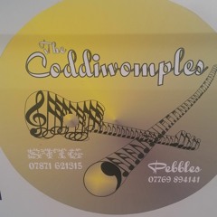 The Coddiwomples Starting with Didge