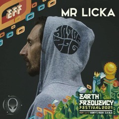 Mr Licka @ Earth Frequency Festival - Vertex stage 2021