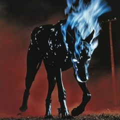 BM999 - life on the Last Beach