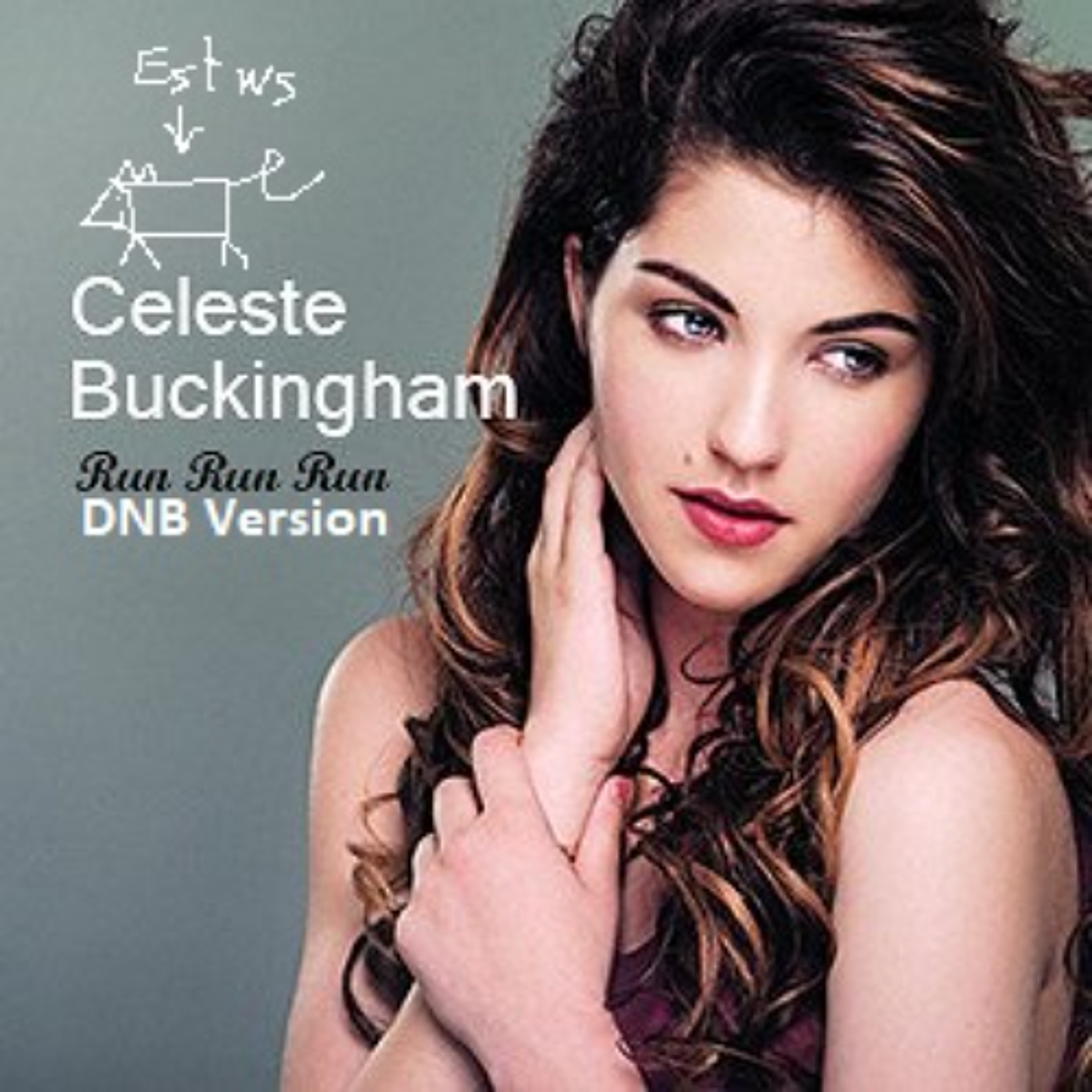 Celeste Buckingham - Run Run Run (Estewes DNB Edit) episode artwork