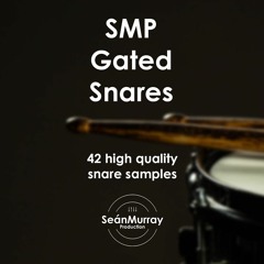 SMP - Gated Snares Demo Track