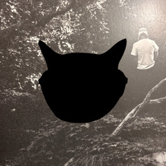 Not My World (CatLo Remix)