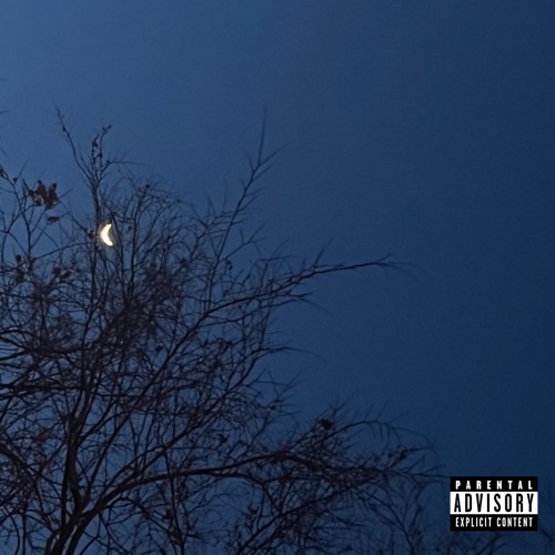 night in december (evrythingido)