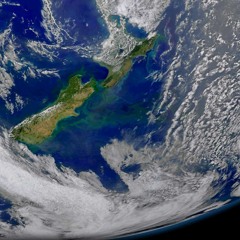 FREE Downloads Part 2 - New Zealand Represent