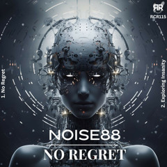 Noise88 - Exploring Insanity