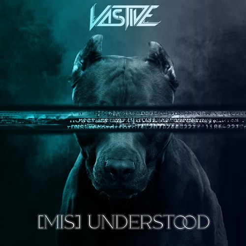 [MIS]UNDERSTOOD