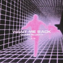 chase elliott- want me back (remix)