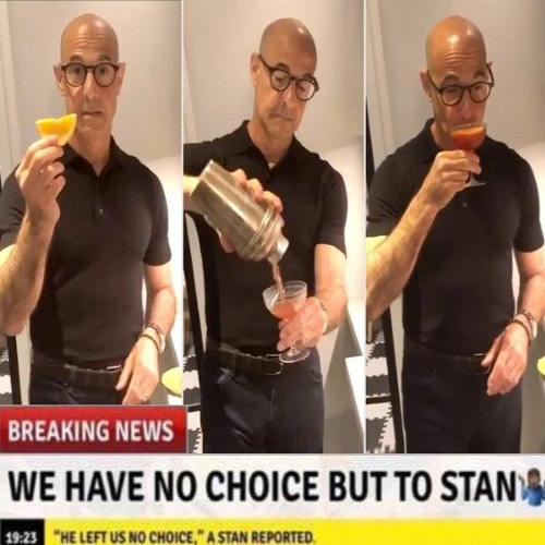 Stanning Stanley Tucci: A Tucci Fancast