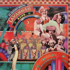 Dr. Buzzard's Original Savannah Band – Sunshower (Aurore Remix)